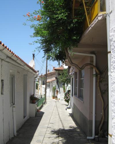A narrow, paved pedestrian alleyway in a village with whitewashed buildings, terracotta roof tiles, and lush greenery including a large vine growing over a balcony on the right.