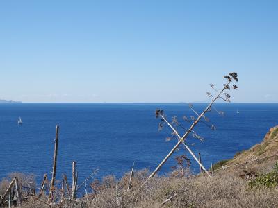 A coastal landscape featuring a large agave plant in the foreground, overlooking the deep blue sea with sailboats and distant landmasses under a clear sky.