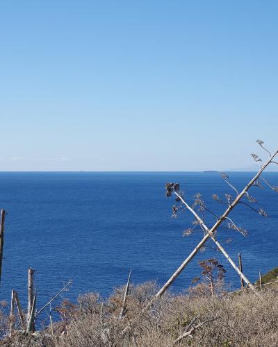 A coastal landscape featuring a large agave plant in the foreground, overlooking the deep blue sea with sailboats and distant landmasses under a clear sky.